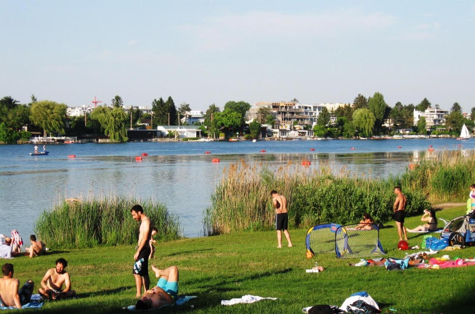 Yuki'S Place - Un-Vic, Danube Beach And Subway Near To Downtown 비엔나 외부 사진